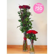 Queen of my heart - scepter bouquet with 120cm Ecuadorian rose XXL